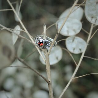 Celtic ring - Red crystal - Silver 18 / 56