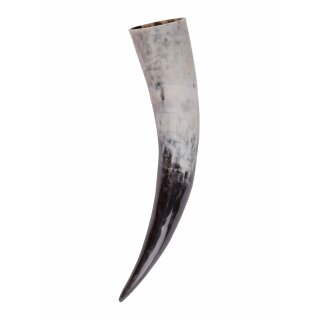 Drinking Horn, approx. 2.25 L