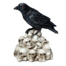 Krähe stehend auf Totenköpfen Ornament