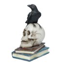 Krähe stehend auf Totenkopf und Büchern Ornament